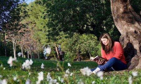 Pessoa a ler um livro ao ar livre e debaixo de uma árvore
